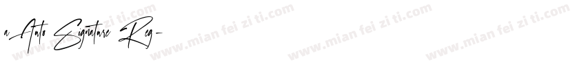 a Auto Signature Reg字体转换